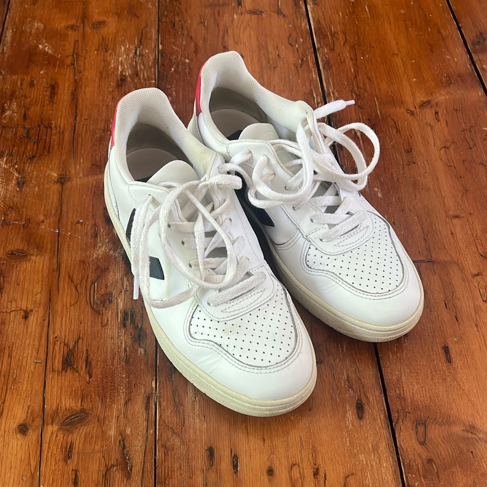 Red and Blue Veja Sneakers